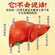 Xiujun Beijing Tongrentang Chrysanthemum wolfberry Cassia tea nourishes liver and protects liver tea bad breath farts dandelion removes fire health tea [1 box 32 packs] nourishes liver and removes fire and clears heat and nourishes kidneys