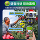 镭威视4g摄像头终身免流量监控器可对话网络无需wifi360度全景无死角带夜视无线手机远程室户外追踪农村 豪华版】免充值+三画面+128G