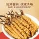 Huaici Tang Cordyceps Sinensis среднего возраста добавки для здоровья старейшины 4 палочки/грамм 10 грамм 40 палочек [подарочная коробка с твердым деревом]]