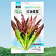 Shouhe lettuce seeds purple and easy to sow on the family balcony in spring and winter sowing vegetables for four seasons in Guangdong fields Shouhe red lettuce seeds 50g original