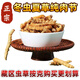 [Cordyceps authentiques] GRAND GRASSE BROCKET Cordyceps authentiques Authentiques Herbe Cordyceps Grass Brokés Cordyceps Grass Broken Fed Tonic pour l'auto-fourrure Cordyceps Tibet Big Broken Grass Cordyceps 20 grammes obtiennent 1 gramme [Total 21 grammes]