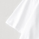Woodpecker (TUCANO) short-sleeved T-shirt for men in summer pure cotton round neck base shirt for men printed casual versatile clothes for men