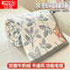 Red Bean Blanket Thick Autumn and Winter Single Bed Office Sofa Plush Single Blanket Milk Velvet Nap Blanket Plus Velvet Blanket Pad Blue Leaf Bear Double-sided Velvet/Treadable and Coverable 70*100cm Single Baby Blanket