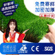 Elegant ground decoration lawn simulation artificial plastic fake turf artificial carpet balcony outdoor kindergarten green bedding 2.0 cm spring grass encrypted grass