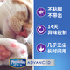 Cat litter 40Jin Jin equals 0.5kg Affordable tofu cat litter deodorizing and clumping low dust cat litter pet supplies cat litter factory dropshipping pure tofu litter brand replacement original flavor 2 packs