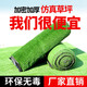 Qingya simulated lawn carpet, artificial artificial green balcony paving, outdoor kindergarten plastic insulation fake turf decoration 10mm engineering encrypted thickened grass