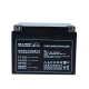 Ris Battery Ris 12V Lead Acid Battery DJM Series Maintenance-free UPS Power DC Screen Ris DJM12200S (12V200AH)