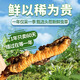 Zangkangtang Authentic High Altitude Fresh Cordyceps sinensis 2025 First Period Selected Fresh Cordyceps SF Cold Chain Direct 0.70.8g/root, 10 roots in total