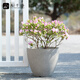 
Jiuqian Valley Nordic simple imitation cement flower pot resin plastic thickened water absorbing lazy people light luxury large flower pot diameter 35cm9225