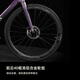 佳沃JAVA公路自行车油压碟刹7170电子变速碳纤维弯把竞速赛车VOLATA 紫色 M（身高：173-182 CM)