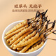 Huaici Tang Cordyceps Sinensis среднего возраста добавки для здоровья старейшины 4 палочки/грамм 10 грамм 40 палочек [подарочная коробка с твердым деревом]]