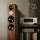 Youtang T718 fever-grade hifi passive speaker dual 8-inch floor box professional wooden audio high-middle bass three-minute floor speaker T718 (dual 8-inch HIFI fever-grade speaker)