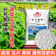 Stanley Stanley Compound Fertilizer Universal Vegetable Agricultural Flower Fertilizer Planting Vegetables Organic Fertilizer Green Plant Potted Nitrogen Phosphorus Potassium Fertilizer Universal Compound Fertilizer 3Jin Jin is equal to 0.5 kg