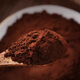 Blume Setang Ganoderma lucidum spore pulver authentic 500 spore pulver basswood linzhi Spezialrobenpulver 2 2 Flaschen Gesamt 1 Jin [Jin gleich 0,5 kg] + Löffel