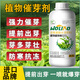 Wo Li'ao imported accelerator tea special accelerator foliar fertilizer flowers to promote flower bud growth and increase production water-soluble fertilizer imported plant accelerator 1000g*1 bottle