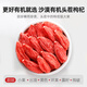 
Qilixianghong wolfberry first organic certified special grade large fruit wolfberry 500g sulfur-free new product Qinghai free wash Gouqi