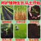 Soil Activator, Black Water Fertilizer, Improve Hardening and Loosening, No Deep Plowing for Vegetable Gardens, 500g 3 Bags, Three Bags Can Manage Five Acres of Land