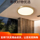 CLCEY全铜户外吸顶灯别墅大门口门前灯室外过道阳台灯防蚊虫庭 X3895-4 X3893-800/方形