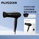 
FLYCO hair dryer portable home campus high power hair dryer quick-drying constant temperature hair care [2000W quick-drying] Foldable FH6231-black
