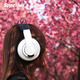 Superlux舒伯乐 HD681EVO 监听半开放式有线音乐HIFI耳机头戴式 HD681EVO【黑色】