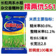 Nuoliangyou 561 hybrid glutinous rice seed has high yield, good waxiness and fragrance, medium-ripening and late-maturing indica type glutinous rice. Nuoliangyou 561 rice seed 5 bags*100g (1 Jin Jin is equal to 0.5 kg)
