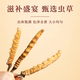 Cordyceps sinensis, caja de regalo de Cordyceps de gran altitud en áreas tibetanas, regalo para su propio uso, 3 palos 1 gramo [100 Box de regalo exquisito]