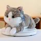 Yunya Cat Doll Plush Plush Toy Orange Cat Doll Children Dreing and abrazando el cumpleaños Día de San Valentín Chino Regalo Xiaohui 45cm