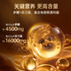 Beijing Tongrentang Broken Ganoderma Spore Powder high-end gift box to enhance immunity for middle-aged and elderly people to send to their elders for leadership New Year's gift box 2 boxes of gifts for health