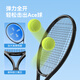 Made in Tokyo, tennis racket training set, beginner's double racket set, tennis rope rebound trainer