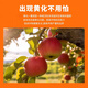 Huqi yellowing, spray and remove flowers, improve leaf yellowing and turn green, citrus yellowing package, strengthen tree vigor, Huqi microorganism 1kg*1 bag