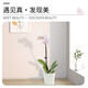 Phalaenopsis Support Support Stroder Моделирование стойка