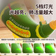 Parents Animal Assembly Children's Toys Infants Baby Music Harmonica Horn Trumpet Animal Sounds Vital Capacity