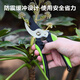 Deli garden scissors, fruit branch shears, garden pruners, branch pliers, household pruning scissors, fruit branch scissors lock design