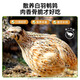Small frozen quail, freeze-dried cat snacks, pet dogs, weight gain, cheek growth, teeth grinding, calcium supplement, adult cat and kitten cat food, quail 250g + free 10g (freeze-dried* about 200 pieces), refundable if you don't eat, please feel free to buy