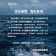 Shelley Jones美式条纹撞色短袖t恤男士夏季新款重磅设计感小众潮流牌半袖体恤 MT7170咖色 XL [推荐120-140斤]