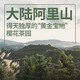 修哲乌龙茶台湾高山御守乌龙花果香200g礼盒装茶叶无农残送礼可冷泡