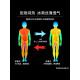 Catman ice silk couple pajamas summer short-sleeved nightgown for women thin cool men light luxury home clothes suit 13076-13077 M women l