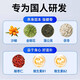 Beijing Tongrentang Tianma Sanqi Tongluo Tabletten Eucommia Ulmoides Supra Sanqi Tongluo Tabletten mittleren Alters und älterer Knie-Gelenk Schmerz Eine Flasche Erfahrung Offizielles Geschäft Jingzi Flaggschiffgeschäft