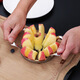 FANCYCHIC Stainless Steel Apple Cutting Tool Large Fruit Divider Multifunctional Peeling and Core Separation Tool Slicer 12-cut 304 Stainless Steel-Blade 10cm