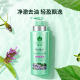 Bee Flower Herbal Essence Shampoo Smooth, Oil Refreshing and Scalp Shampoo for Men and Women 500ml