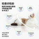 Weishihua Hair Cream Cat Coil Crème Garde Pet Petits Remover Cat Cat Grass comprimés pour chats pour le conditionnement gastro-intestinal Nutrition Pâte nutrition