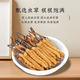 Cordyceps sinensis, caja de regalo de Cordyceps de gran altitud en áreas tibetanas, regalo para su propio uso, 3 palos 1 gramo [100 Box de regalo exquisito]