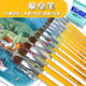 
He Jiangong 826 water chalk art student acrylic brush wolf hair oil brush set student pigment color pen 6 double number (2:4:6:8:10:12): elementary school students