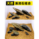 
Fish tank landscaping stream stones complete set of original ecological natural volcanic stone stream stone set meal large main stone schist large stone 1-1.2m tank same type landscaping: 16817 [Contact customer service