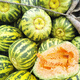 Beishu Melon Seeds Emerald Rock Sugar Seeds Croissant Honey White Sand Honey Spring Cantaloupe Seeds Beishu Melon Seeds 150 capsules 5 bags