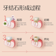 BOP specializes in bop toothpaste antibacterial whitening toothpaste active antibacterial peptide toothpaste whitening stains and stains. BOP [Hot sale - dissolved stains and bright whitening] 120g 1 piece