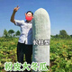 Pink-skinned winter melon original seed, long columnar type, selected winter melon seeds, a complete list of spring sown vegetables, pink-skinned winter melon, pink-skinned winter melon seeds (germination rate 99%) FDG569 new species, 5 packs, about 110 seeds, free