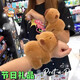 脘铼卡皮巴拉啪啪毛绒水豚玩偶手环公仔毛绒玩具儿童卡通手腕可爱 小乌龟背包一个【无水豚】