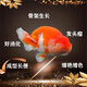 Tongwei Tongwei 9900 Kaikoule 48 Fry Fry Fry Special Special-Grain Orchid Guppies alimentation 1,0 granules 48 Matériau flottant de 500 g riches en protéines