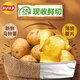 Patatas Patatas de Lay Costa de primavera Papotes Sabor natural 60G Batones de cultivo 3 Bocadillos de invitación especiales